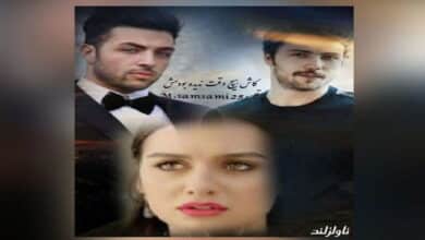 رمان کاش هیچ وقت ندیده بودمش