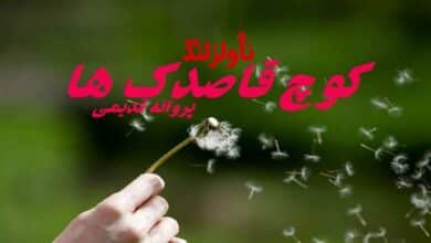 رمان کوچ قاصدک ها