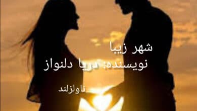 رمان شهر زیبا