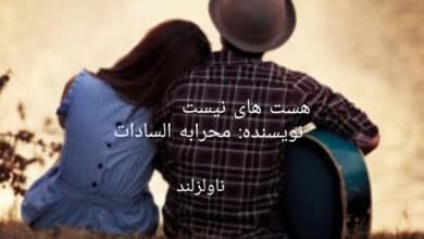 رمان هست های نیست