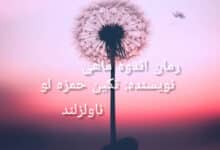 رمان اندوه ماهی