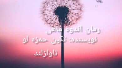 رمان اندوه ماهی