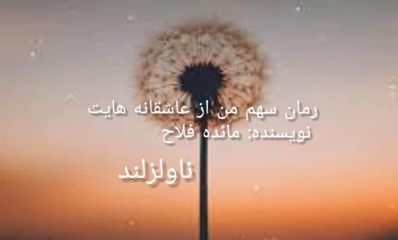 رمان سهم من از عاشقانه هایت