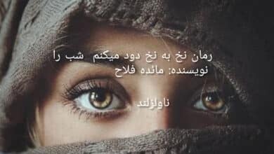 رمان نخ به نخ دود میکنم شب را