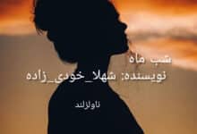 رمان شب ماه