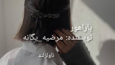 رمان پاراهور