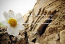 رمان سیگار شکلاتی جلد دوم