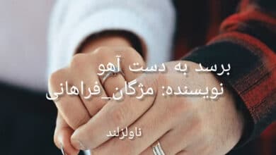 رمان برسد به دست آهو