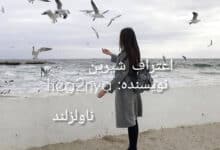 رمان اعتراف شیرین