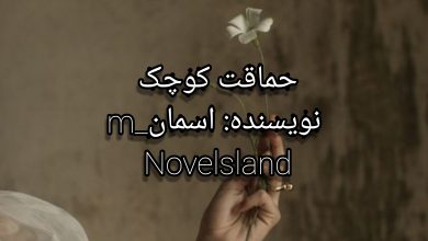 رمان حماقت کوچک