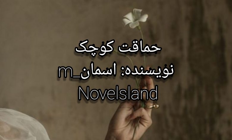 رمان حماقت کوچک