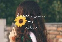 رمان دوستی دردسر ساز