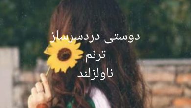 رمان دوستی دردسر ساز