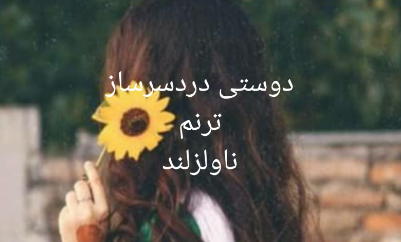 رمان دوستی دردسر ساز