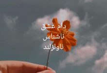 رمان دام عشق