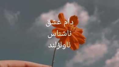 رمان دام عشق