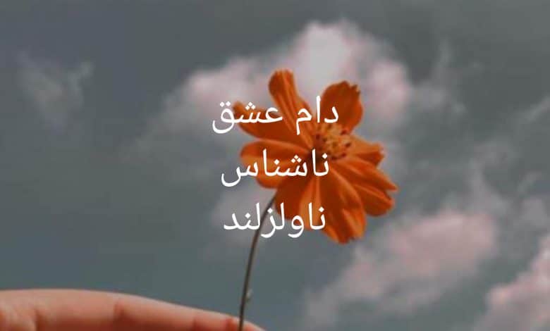 رمان دام عشق