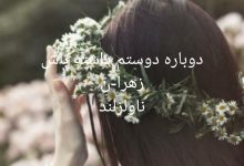 رمان دوباره دوستم داشته باش