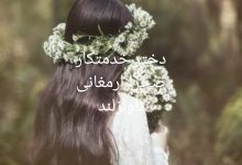 رمان دختر خدمتکار