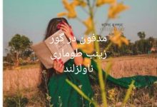 رمان مدفون در گور