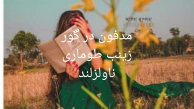 رمان مدفون در گور