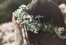 رمان دختر شمالی