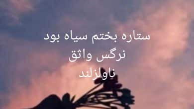 رمان ستاره بختم سیاه بود