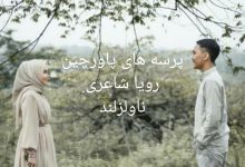 رمان پرسه های پاورچین