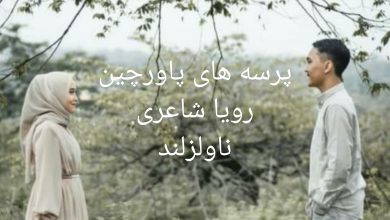 رمان پرسه های پاورچین