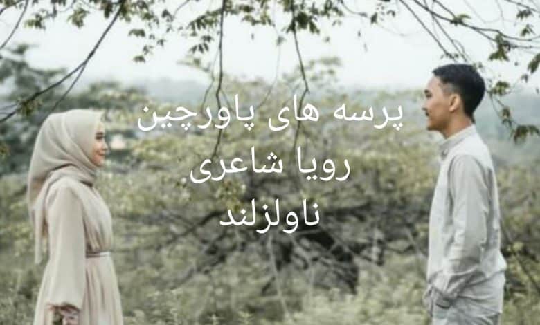 رمان پرسه های پاورچین