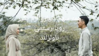 رمان همه سهم دنیارو ازم بگیر