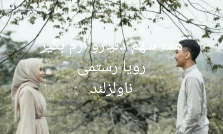 رمان همه سهم دنیارو ازم بگیر