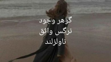 رمان گوهر وجود