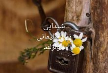 رمان شیدایی