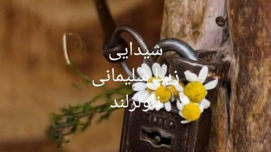 رمان شیدایی