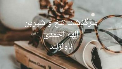 رمان سرگذشت تلخ و شیرین