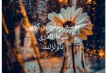 رمان بوسه باران بر کویر