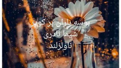 رمان بوسه باران بر کویر