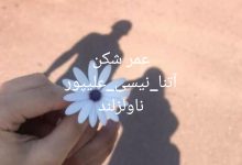 رمان عمر شکن