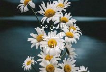 رمان نازنین من