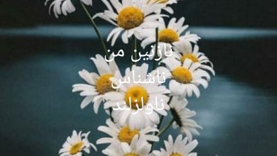 رمان نازنین من