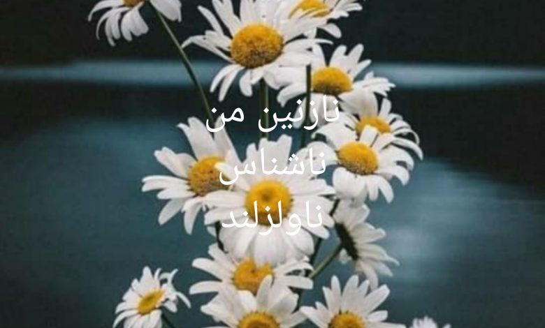 رمان نازنین من