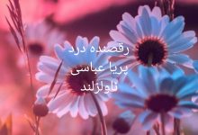 رمان رقصنده درد