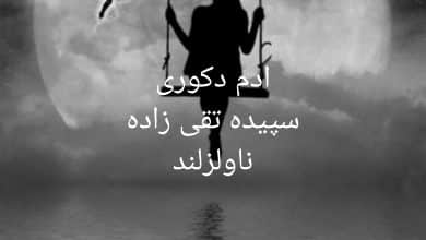 رمان آدم دکوری