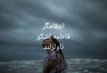 رمان انتقامگر