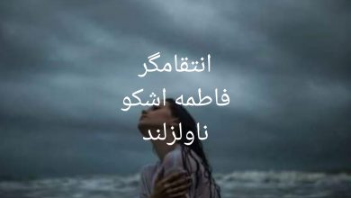 رمان انتقامگر