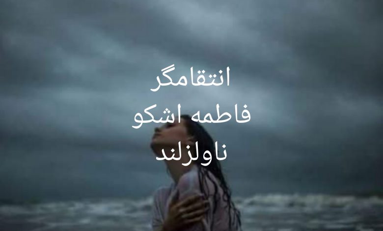 رمان انتقامگر