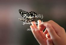 رمان زنانه میتازم