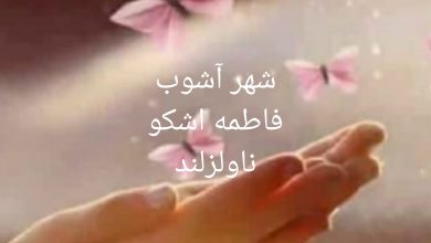 رمان شهر آشوب