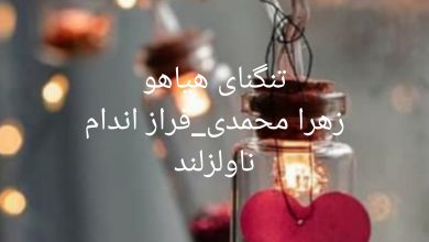 رمان تنگنای هیاهو